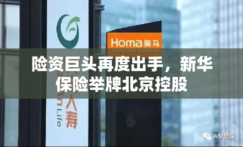 险资巨头再度出手，新华保险举牌北京控股