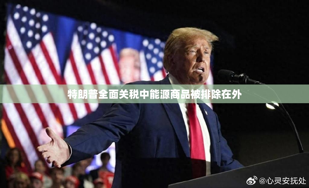 特朗普全面关税中能源商品被排除在外