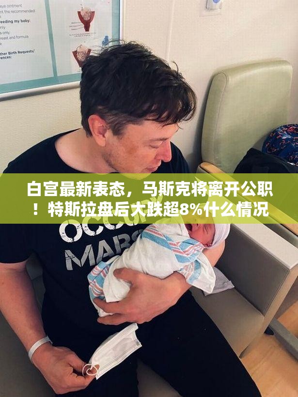白宫最新表态，马斯克将离开公职！特斯拉盘后大跌超8%什么情况？