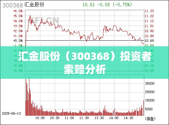汇金股份（300368）投资者索赔分析