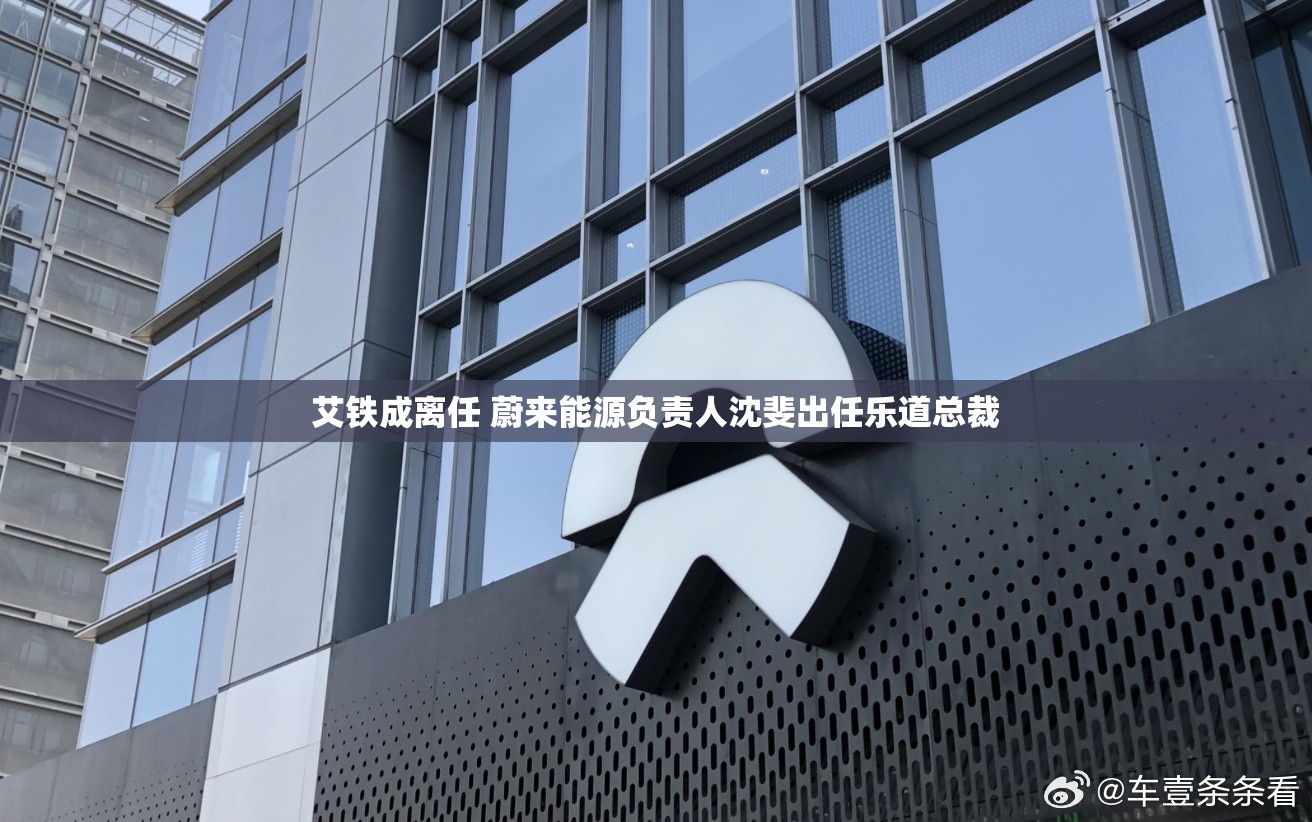 艾铁成离任 蔚来能源负责人沈斐出任乐道总裁