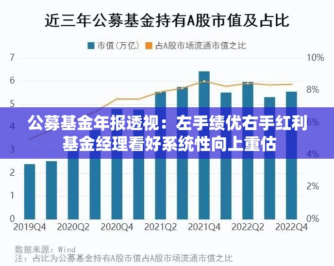 公募基金年报透视：左手绩优右手红利 基金经理看好系统性向上重估