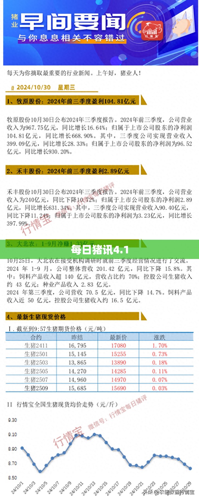 每日猪讯4.1