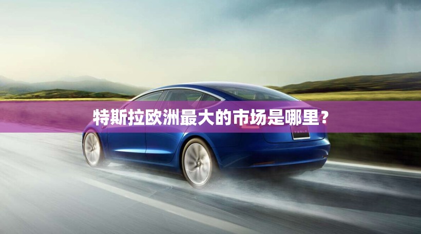 特斯拉欧洲最大的市场是哪里？