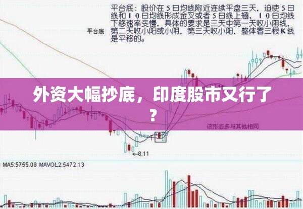 外资大幅抄底，印度股市又行了？