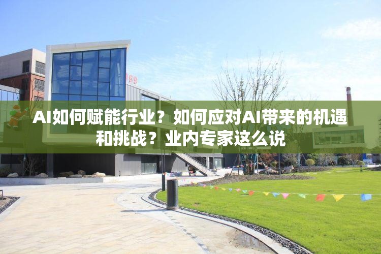 AI如何赋能行业？如何应对AI带来的机遇和挑战？业内专家这么说
