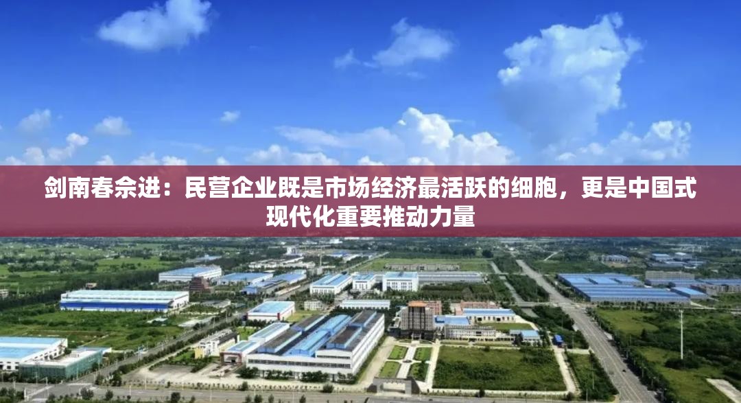剑南春佘进：民营企业既是市场经济最活跃的细胞，更是中国式现代化重要推动力量