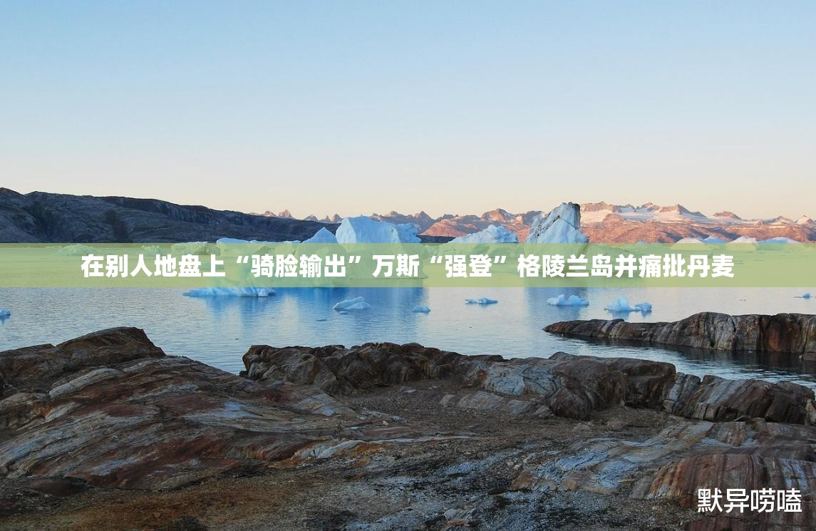 在别人地盘上“骑脸输出”万斯“强登”格陵兰岛并痛批丹麦