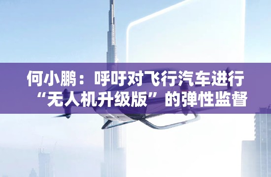 何小鹏：呼吁对飞行汽车进行“无人机升级版”的弹性监督框架