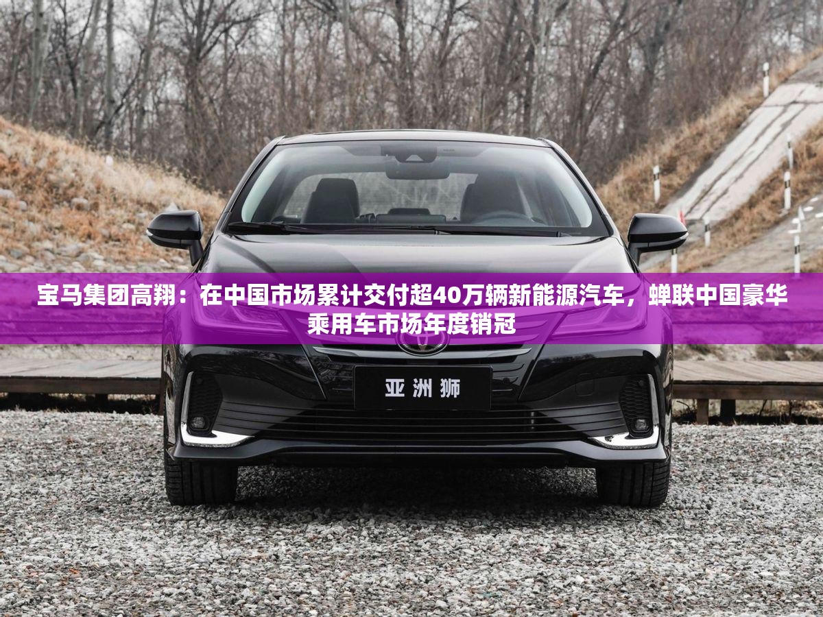 宝马集团高翔：在中国市场累计交付超40万辆新能源汽车，蝉联中国豪华乘用车市场年度销冠