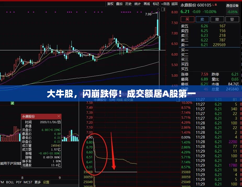 大牛股，闪崩跌停！成交额居A股第一