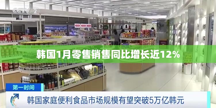 韩国1月零售销售同比增长近12%