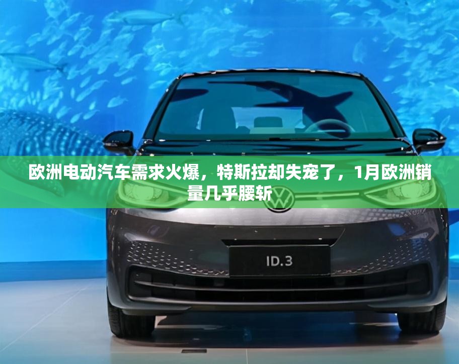 欧洲电动汽车需求火爆，特斯拉却失宠了，1月欧洲销量几乎腰斩