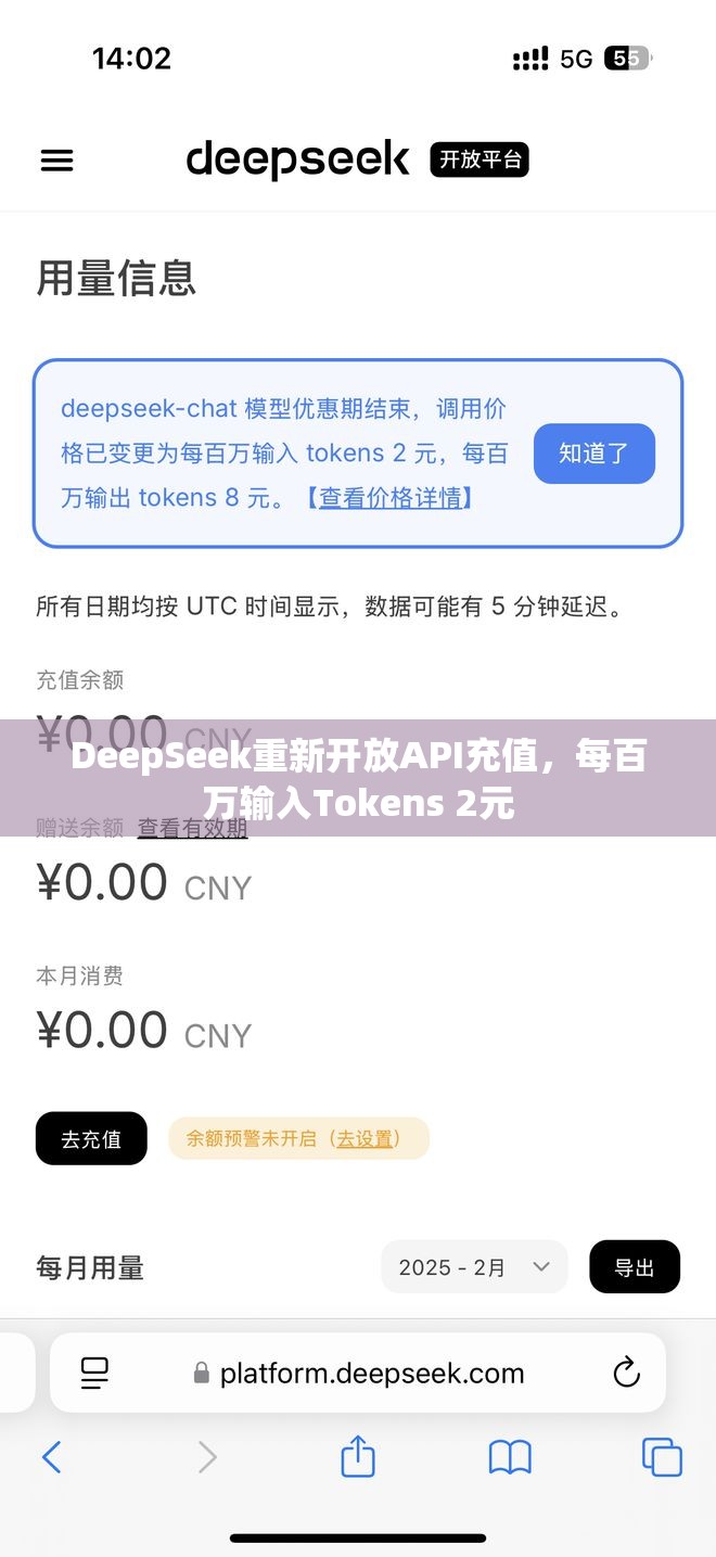 DeepSeek重新开放API充值，每百万输入Tokens 2元