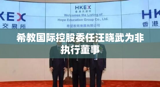 希教国际控股委任汪晓武为非执行董事