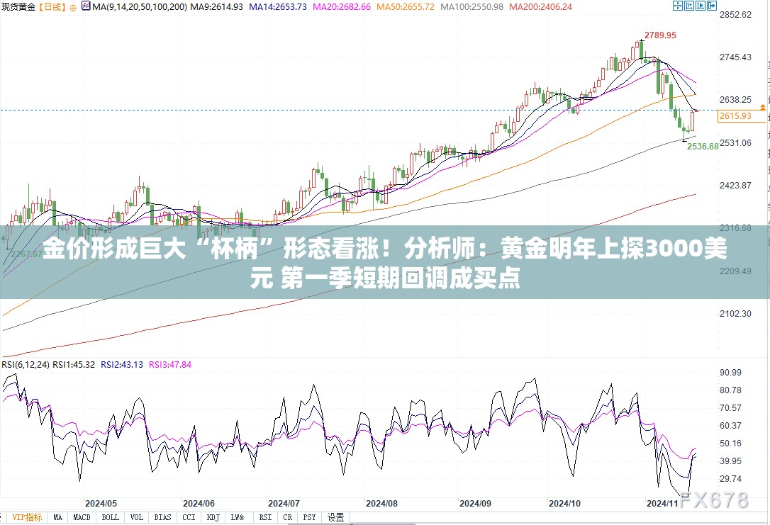 金价形成巨大“杯柄”形态看涨！分析师：黄金明年上探3000美元 第一季短期回调成买点