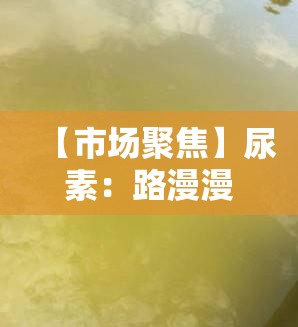 【市场聚焦】尿素：路漫漫