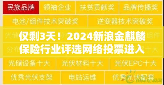 仅剩3天！2024新浪金麒麟保险行业评选网络投票进入倒计时