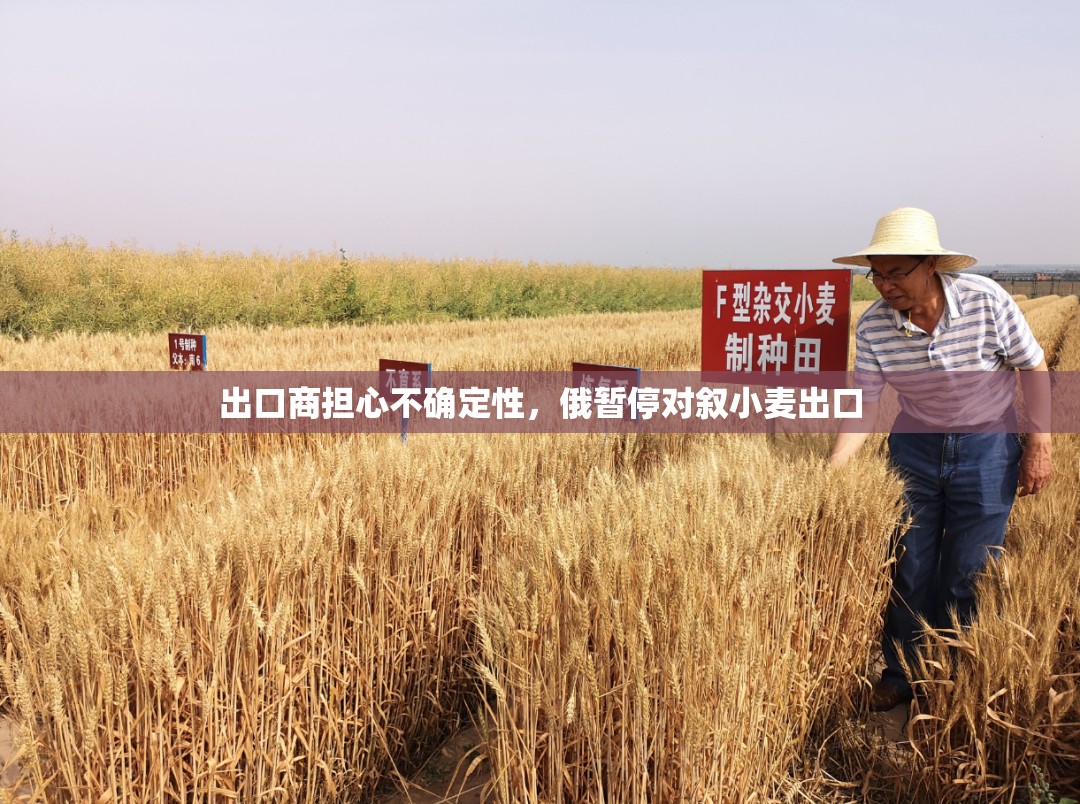 出口商担心不确定性，俄暂停对叙小麦出口