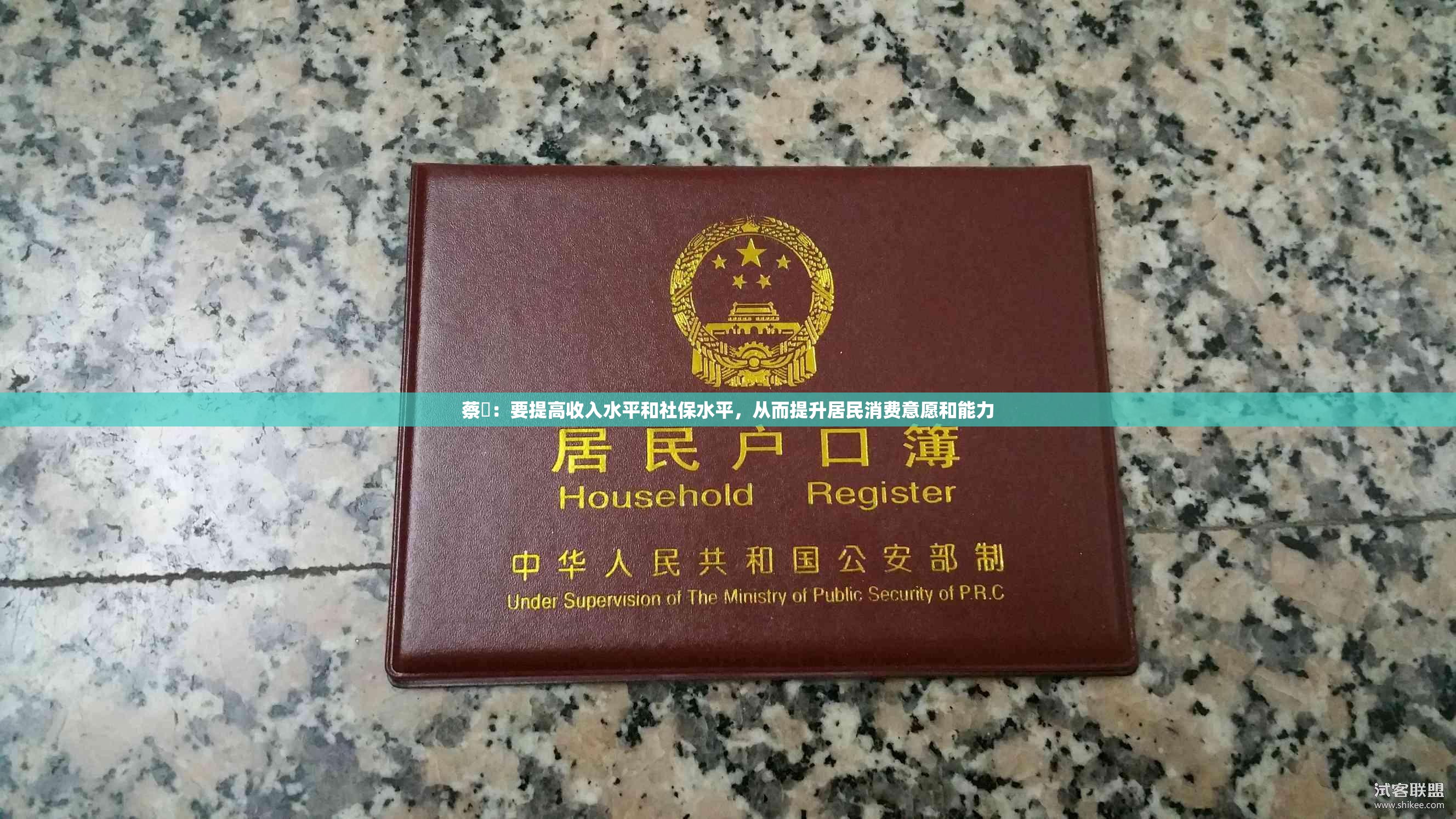 蔡昉：要提高收入水平和社保水平，从而提升居民消费意愿和能力