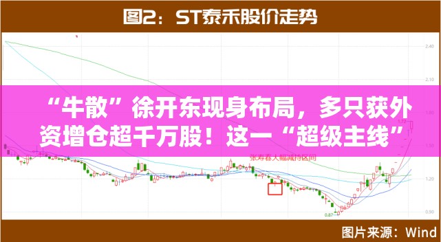 “牛散”徐开东现身布局，多只获外资增仓超千万股！这一“超级主线”机会还没走完？