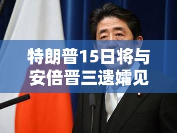 特朗普15日将与安倍晋三遗孀见面