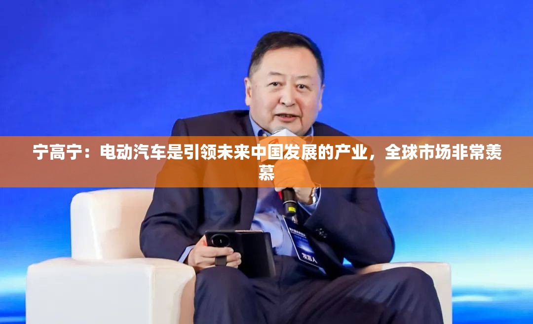 宁高宁：电动汽车是引领未来中国发展的产业，全球市场非常羡慕