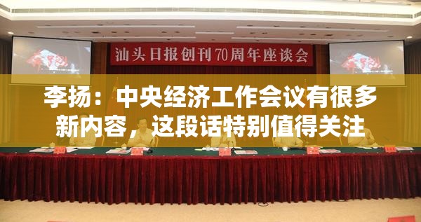 李扬：中央经济工作会议有很多新内容，这段话特别值得关注