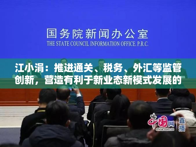 江小涓：推进通关、税务、外汇等监管创新，营造有利于新业态新模式发展的制度环境