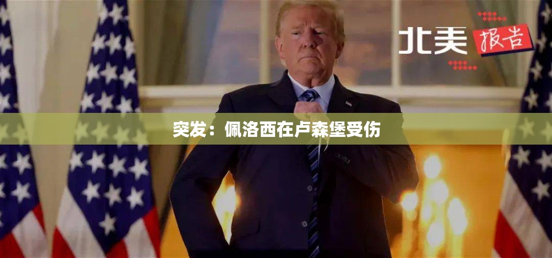 突发：佩洛西在卢森堡受伤