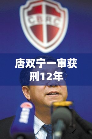 唐双宁一审获刑12年