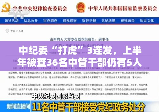 中纪委“打虎”3连发，上半年被查36名中管干部仍有5人未被处分