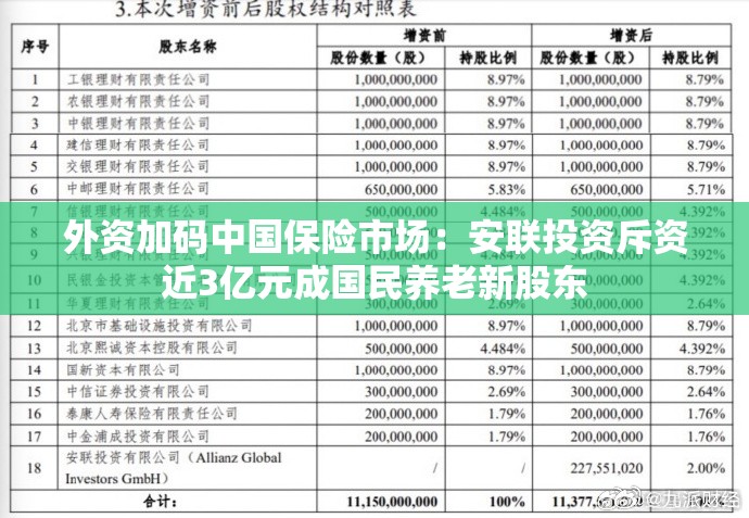 外资加码中国保险市场：安联投资斥资近3亿元成国民养老新股东