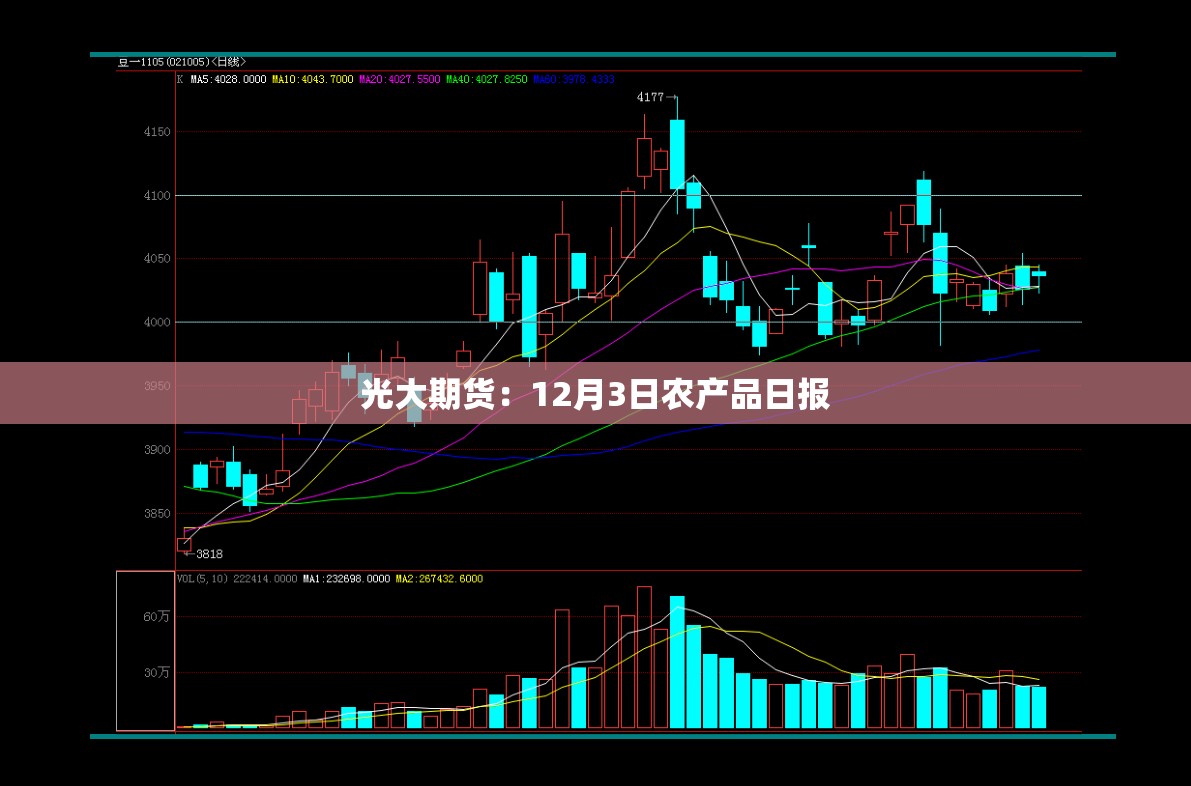 光大期货：12月3日农产品日报