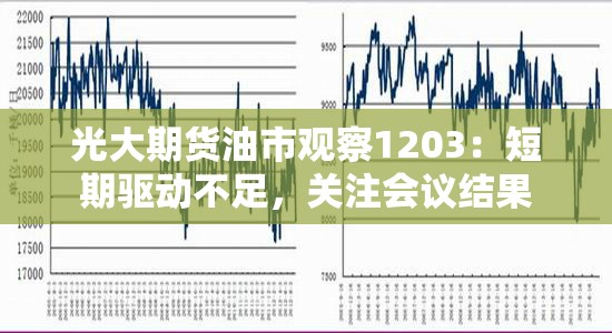 光大期货油市观察1203：短期驱动不足，关注会议结果