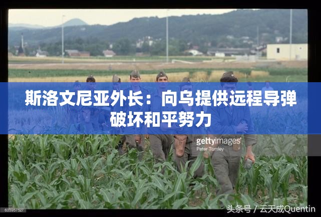 斯洛文尼亚外长：向乌提供远程导弹破坏和平努力